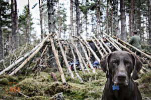 Bushcraft and Wilderness Survival Courses in Scotland