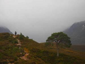 Bushcraft and Wilderness Survival Courses in Scotland